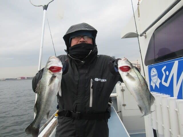 シーバス(スズキ)