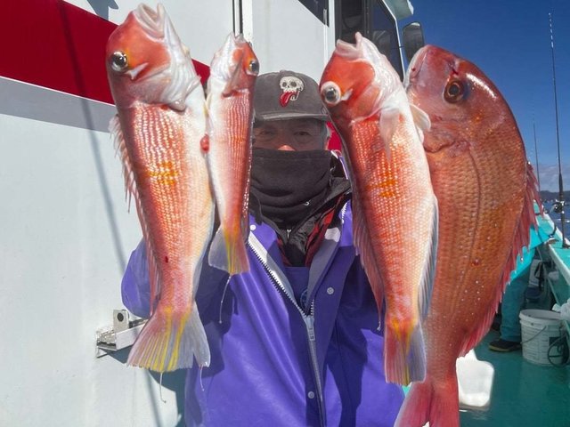 マダイ・アマダイ(アカアマダイ)