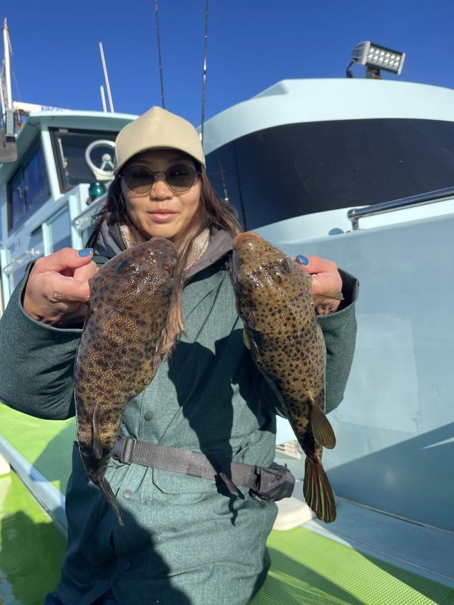 フグ(アカメフグ)