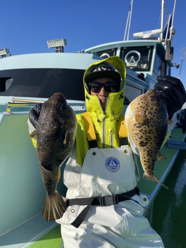 フグ(アカメフグ)