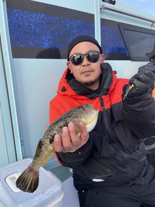 フグ(アカメフグ)