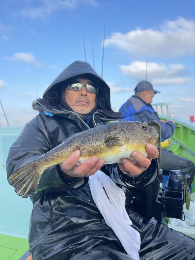 フグ(アカメフグ)