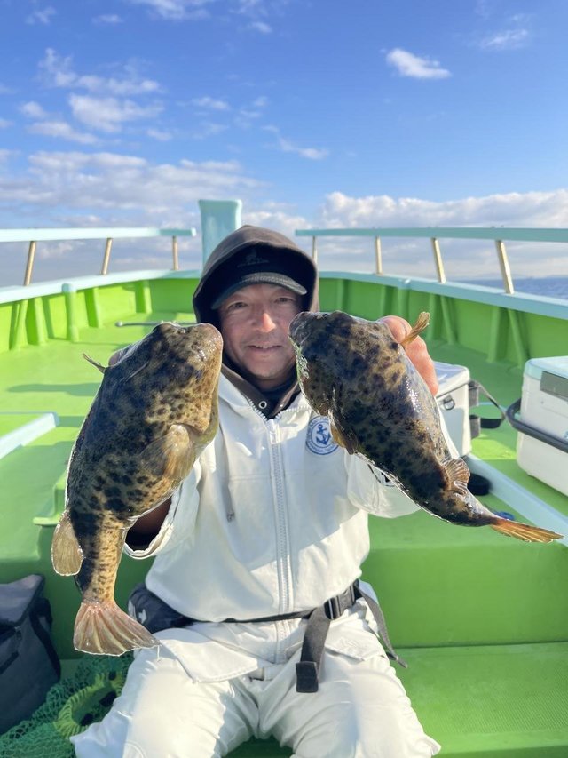 フグ(アカメフグ)