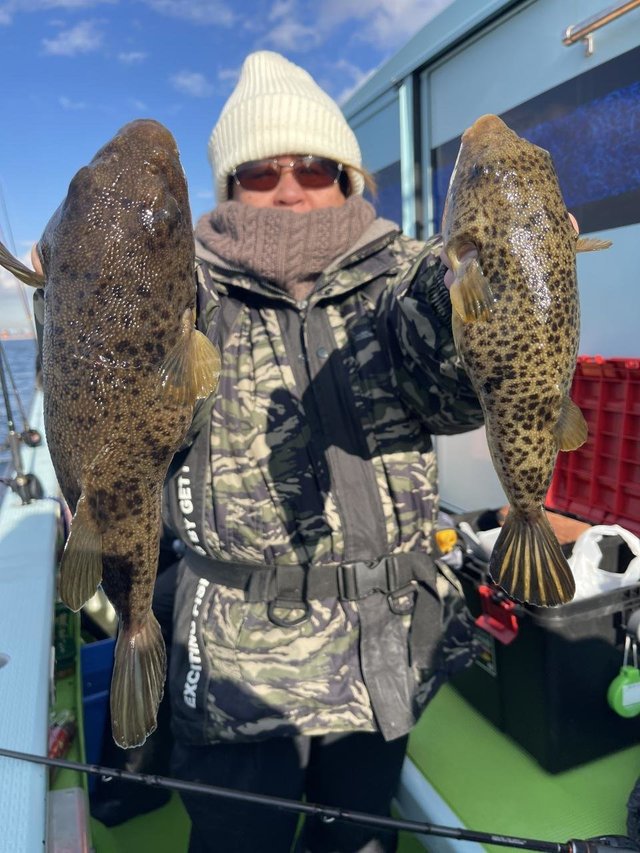 フグ(アカメフグ)