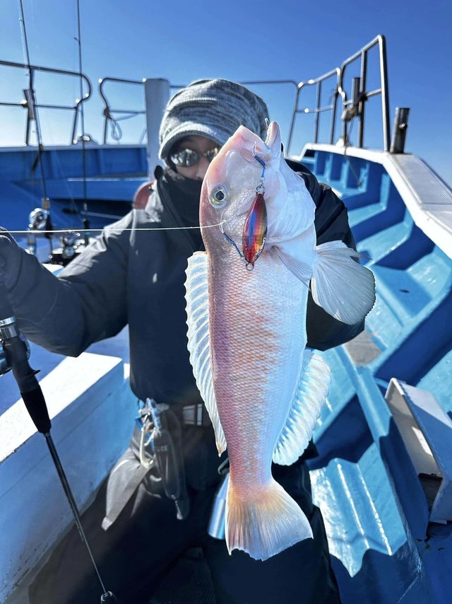 アマダイ(アカアマダイ)