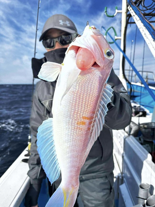 アマダイ(アカアマダイ)