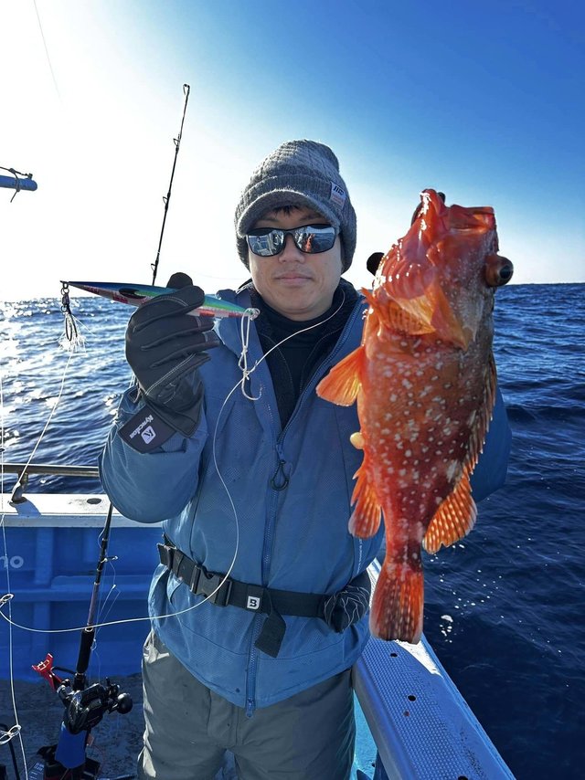 ウッカリカサゴ