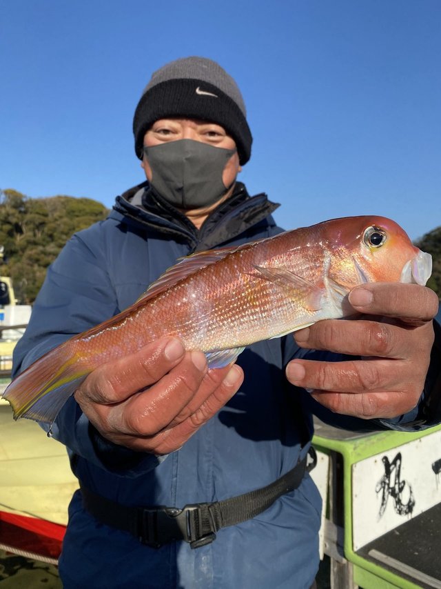 アマダイ(アカアマダイ)