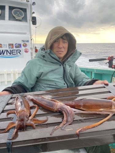 スルメ(スルメイカ)