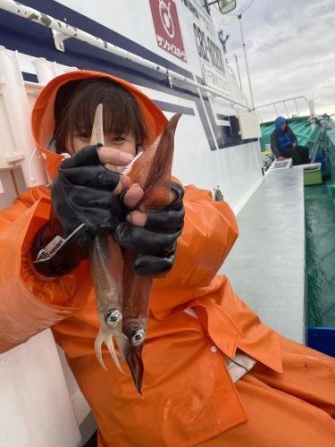 スルメ(スルメイカ)