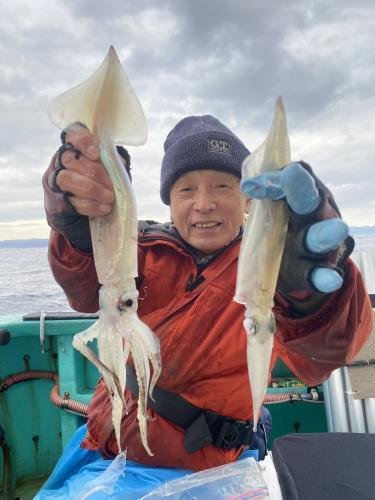 スルメ(スルメイカ)