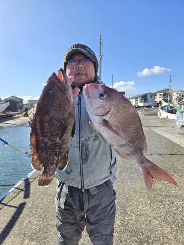 マダイ・ハタ(マハタ)