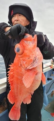 メヌケ(アコウダイ)