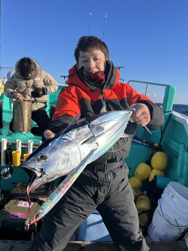 ビンチョウマグロ(ビンナガ)