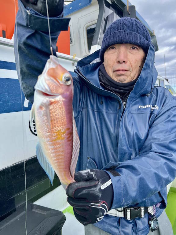 アマダイ(アカアマダイ)