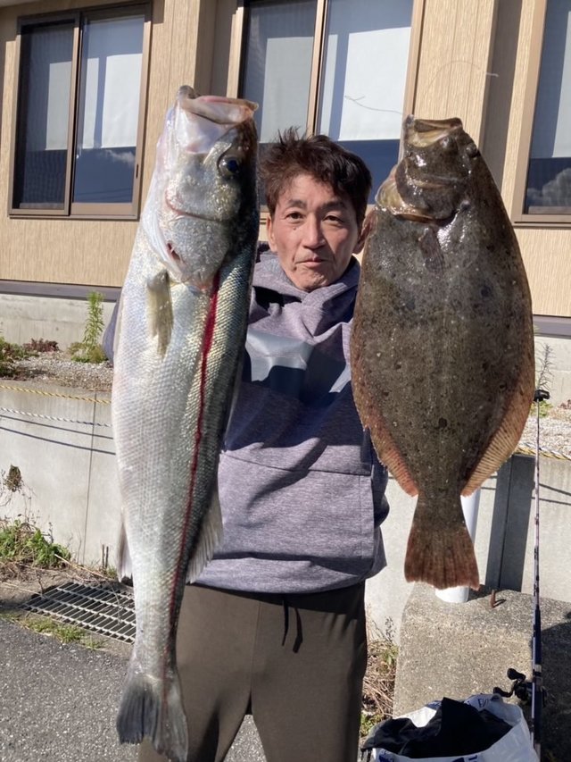 スズキ・ヒラメ