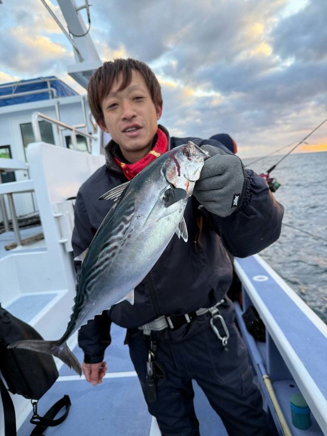 スマガツオ(スマ)