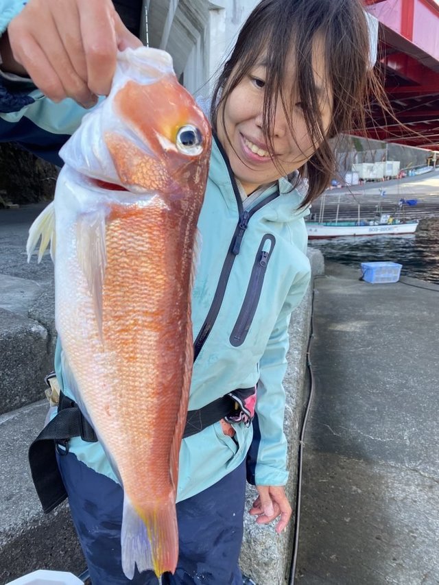 アマダイ(アカアマダイ)