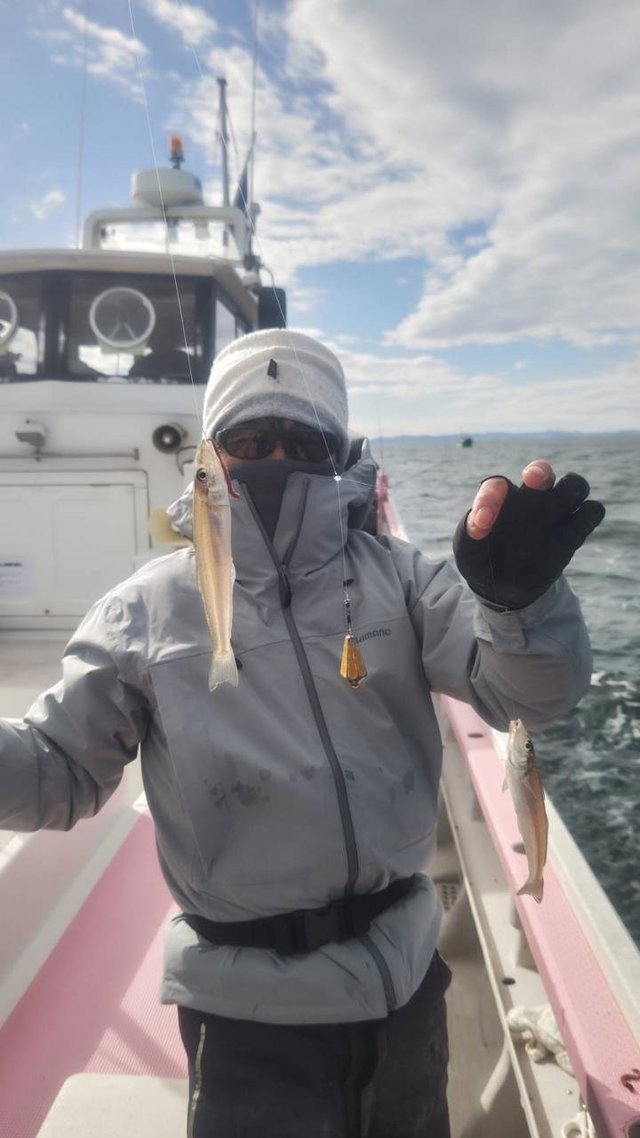 キス(シロギス)