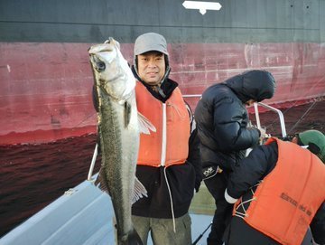 シーバス(スズキ)