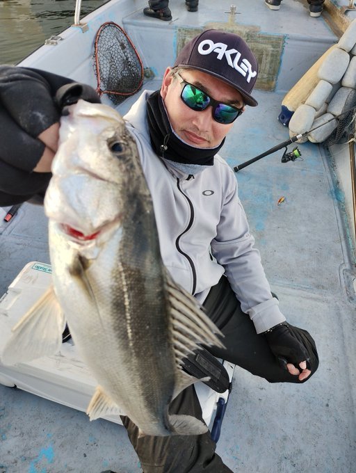 シーバス(スズキ)