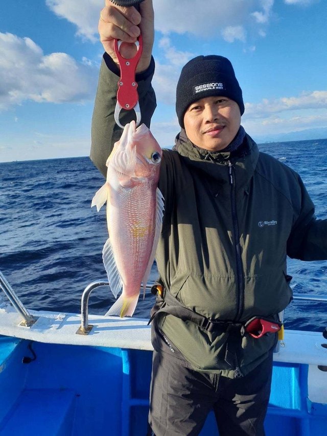 アマダイ(アカアマダイ)