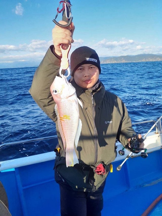 アマダイ(アカアマダイ)