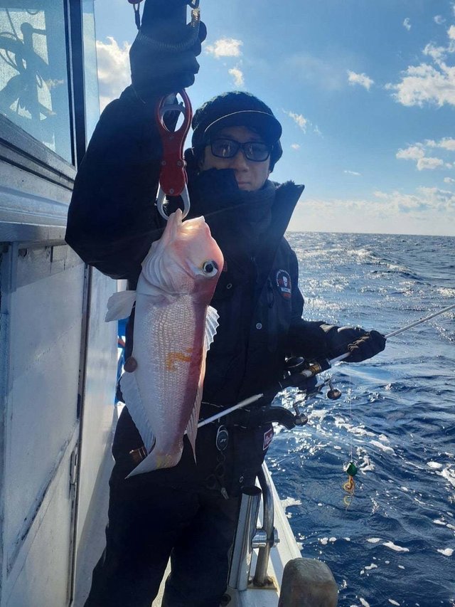 アマダイ(アカアマダイ)