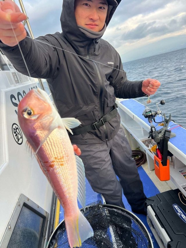 アマダイ(アカアマダイ)