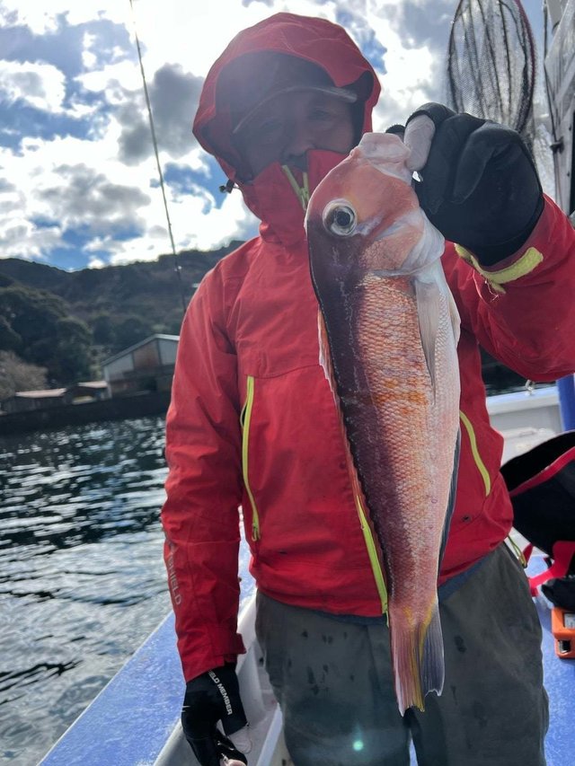 アマダイ(アカアマダイ)