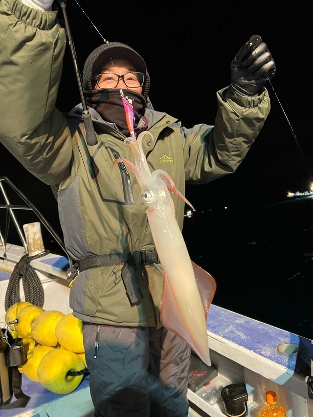 マルイカ(ケンサキイカ)