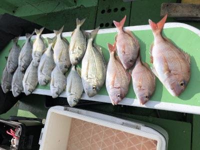 マダイ・チダイ・ヘダイ