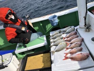 マダイ・チダイ・ヘダイ