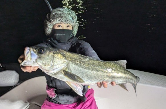 シーバス(スズキ)