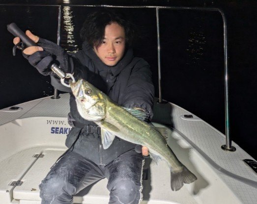 シーバス(スズキ)