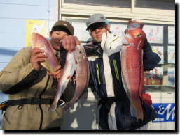 アマダイ(アカアマダイ)・イトヨリ(イトヨリダイ)