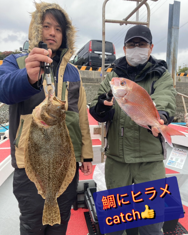 マダイ・ヒラメ