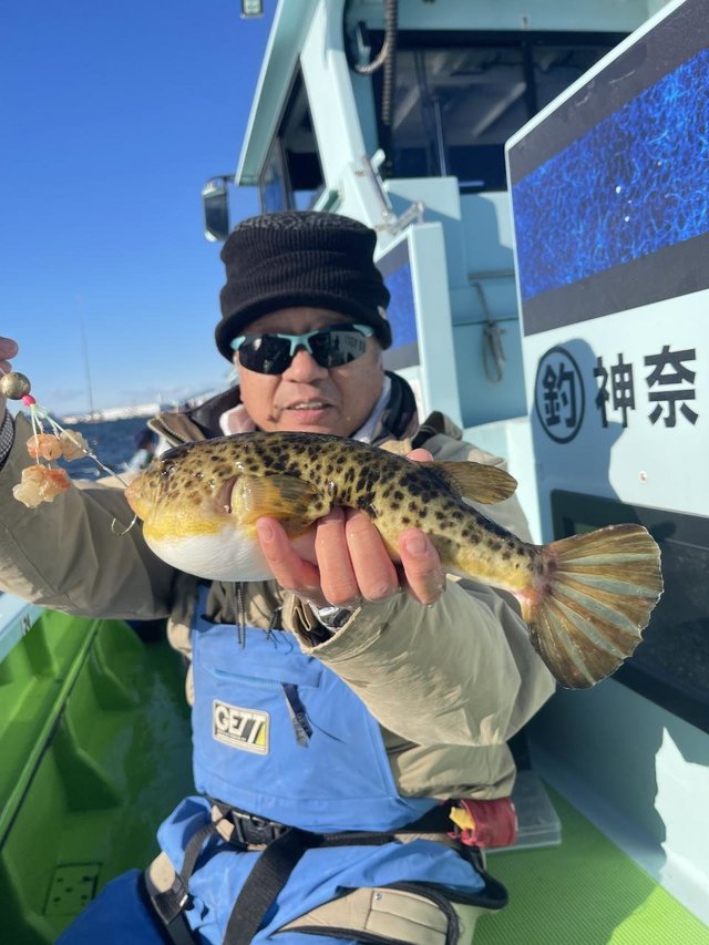 フグ(アカメフグ)