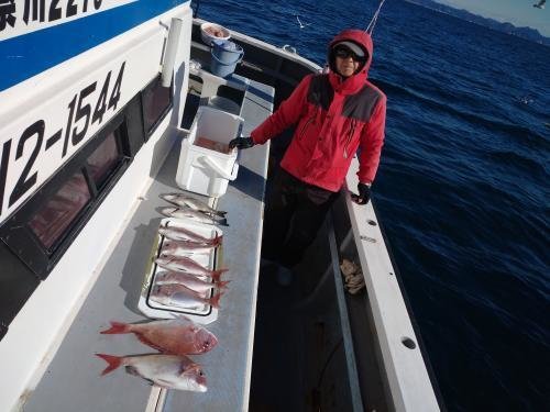 マダイ・クロダイ