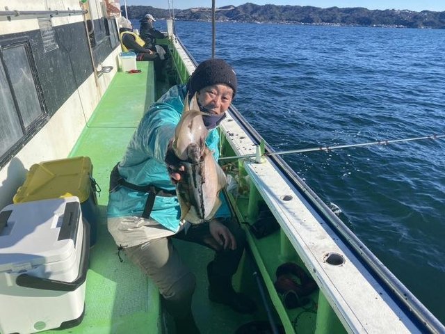 モンゴウ(カミナリイカ)