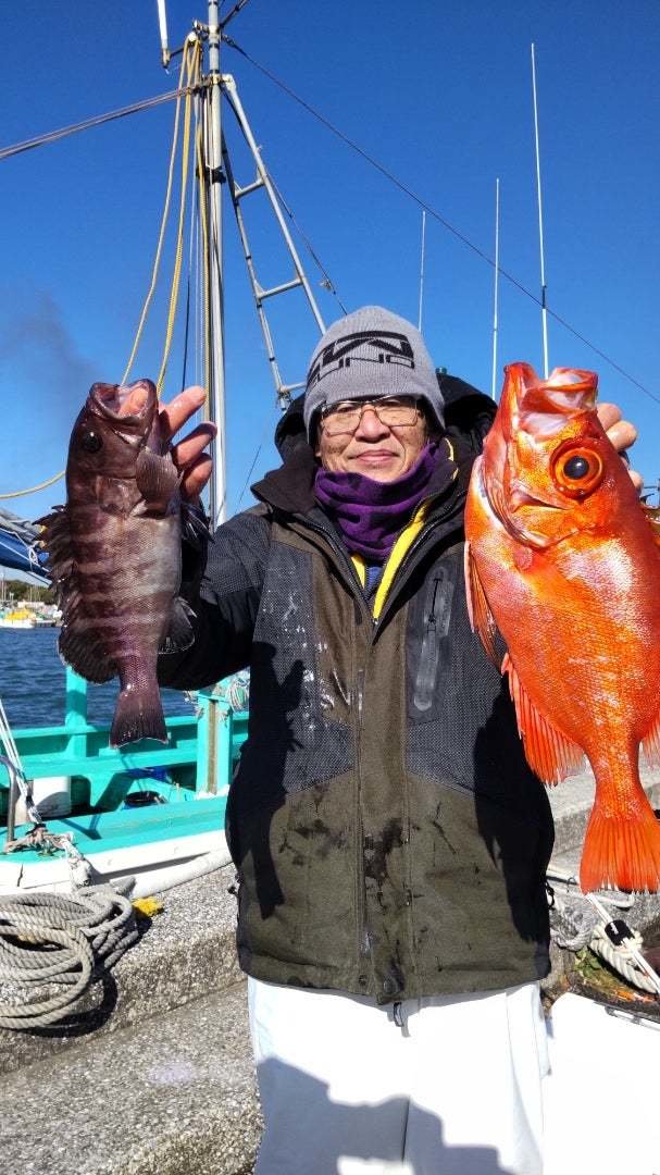 キントキ(チカメキントキ)・ハタ(マハタ)