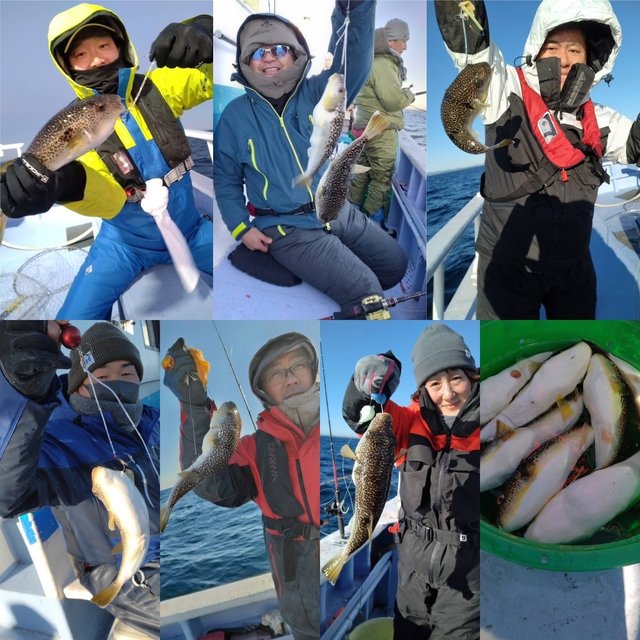 ショウサイフグ