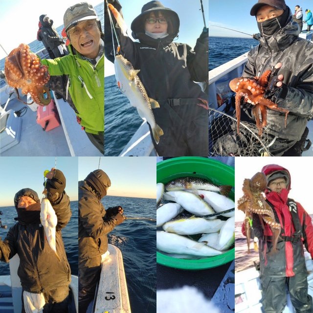 ショウサイフグ・マダコ