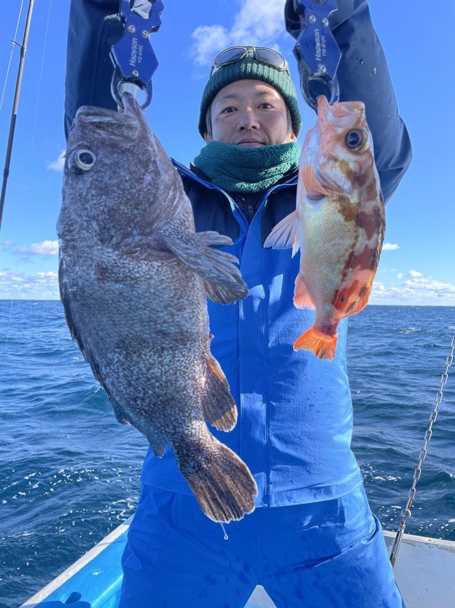 マゾイ(キツネメバル)