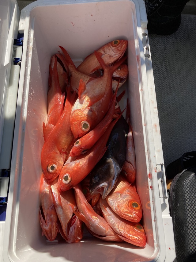 キンメ(キンメダイ)