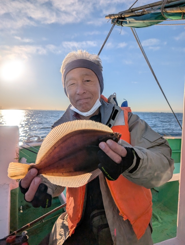 カレイ(マコガレイ)