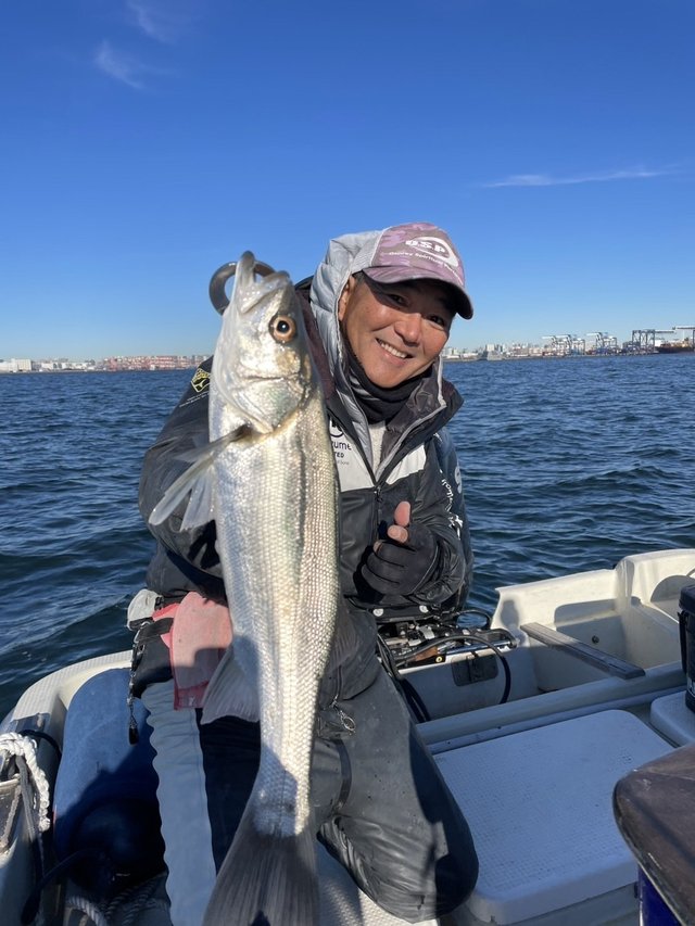 シーバス(スズキ)