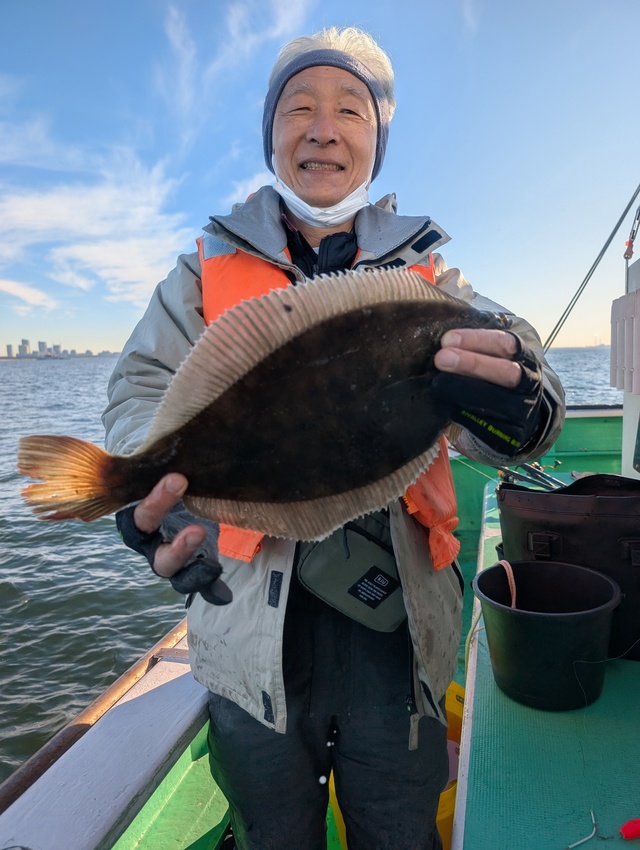 カレイ(マコガレイ)