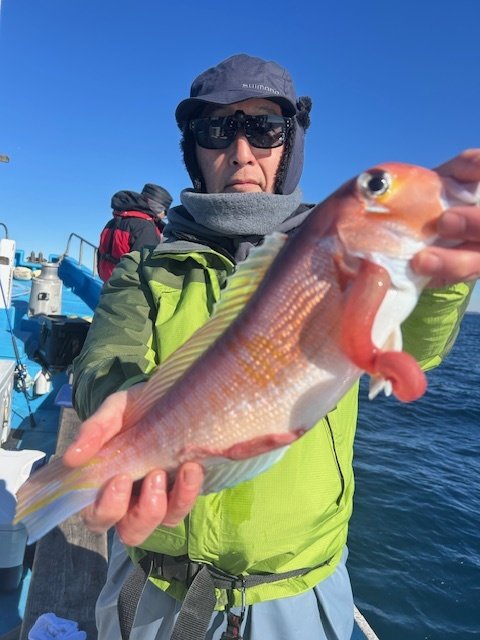 アマダイ(アカアマダイ)