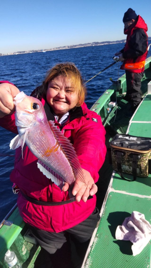 アマダイ(アカアマダイ)